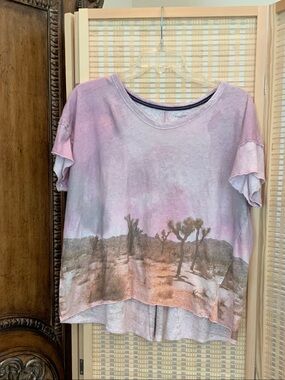 Anthropologie Pastel Pink Desert Print cap sleeve XL